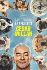 Poster di Cesar Millan: Better Human, Better Dog