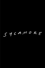 Sycamore