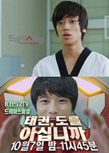 Do You Know Taekwondo? poster
