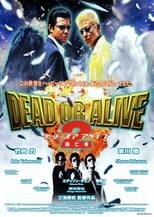 Poster di Dead or Alive 2