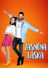 Zasněná láska – plakát
