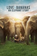 Poster for Love & Bananas: An Elephant Story