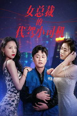 女总裁的代驾小司机 poster