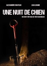 Poster for Une nuit de chien