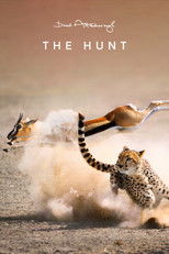 The Hunt