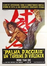 Poster for The Invincible Iron Palm