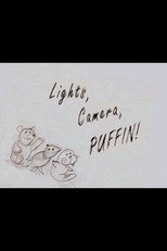 Elf: Lights, Camera, Puffin!