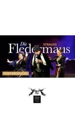 Poster for Die Fledermaus - CNT