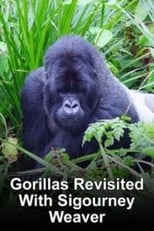 Poster for Gorillas Revisited with Sigourney Weaver