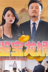 鉴宝龙婿 poster