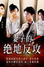 妻子的绝地反攻 poster