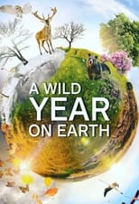 Ein wildes Jahr auf der Erde