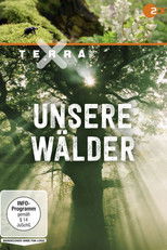 Terra X - Unsere Wälder poster
