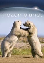 Poster for Frozen Planet Season 1