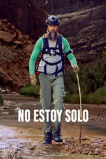 No estoy solo poster