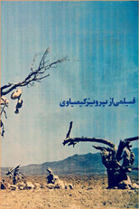 The Garden of Stones (1976)