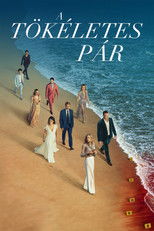 A tökéletes pár