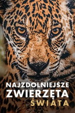 Naturtalente poster