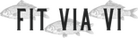 Fit Via Vi