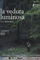 Poster for The Luminous View