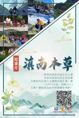 滇南本草 poster
