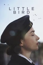 Poster for Little Bird