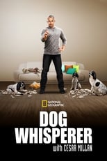 Poster for Dog Whisperer