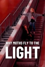Poster for Why Moths Fly to the Light? 