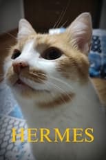 Poster for Hermes