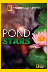 Pond Stars poster
