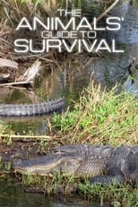 Poster for The Animals' Guide to Survival