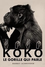 Poster di Koko, il gorilla che parla