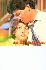 Sai Sema, Commoner Fighter poster