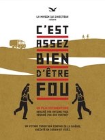 Poster for C'est assez bien d'être fou