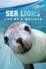 Poster for Sea Lions: Life By a Whisker