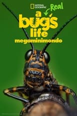 Poster di A Real Bug's Life - Megaminimondo