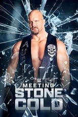 Poster for Meeting Stone Cold