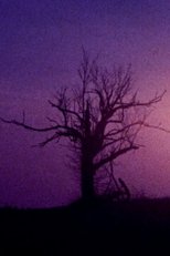 Fainter Echoes