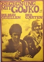 Poster for Begegnung mit Gojko 