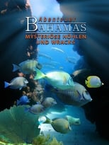 Poster for Adventure Bahamas 3D - Mysterious Caves And Wrecks 