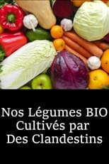 Poster for Nos Légumes BIO Cultivés par  Des Clandestins 