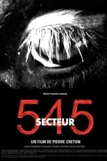 Poster for Secteur 545 