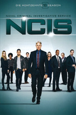 Poster zu Staffel 18 – Navy CIS