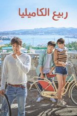 When the Camellia Blooms | ربيع الكاميليا