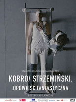 Kobro / Strzemiński. Opowieść fantastyczna poster
