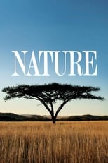 Poster di Nature