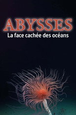 Abysses, la face cachée des océans