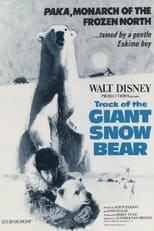 Poster for Snow Bear