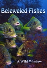 Poster for Wild Window: Bejeweled Fishes