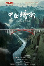 中国桥衡 poster